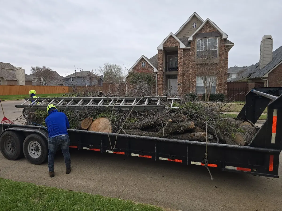 Expert Tree Pest Control with proper safety equipment in Lenox